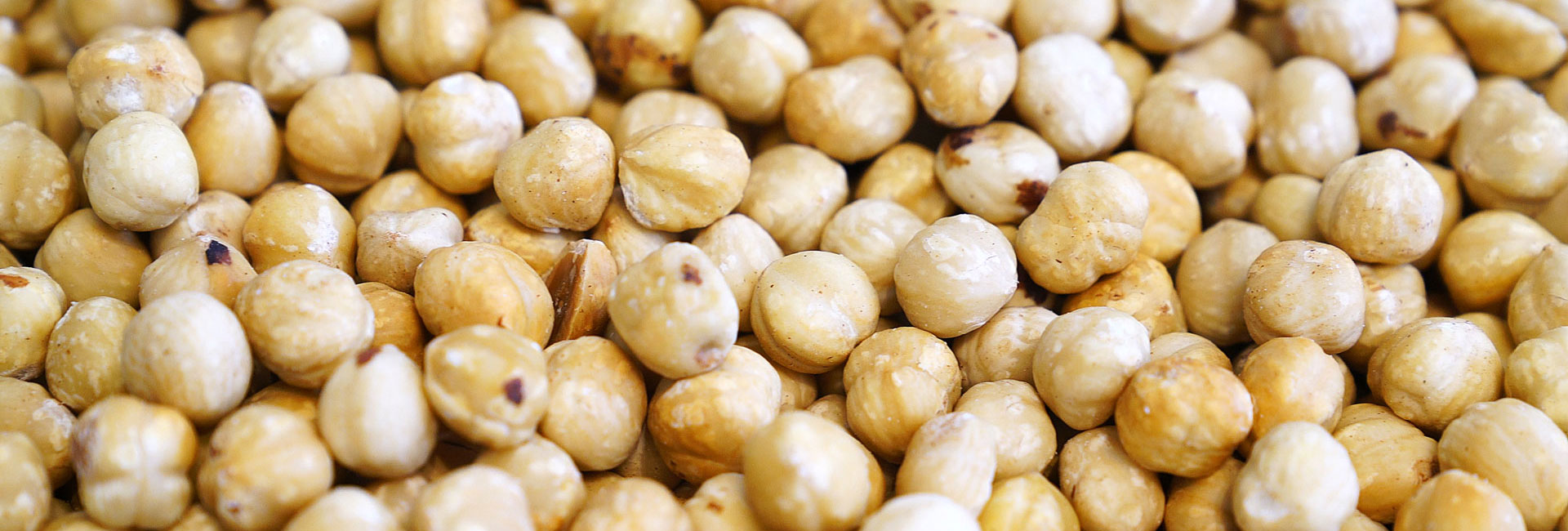nocciole-briccodolce