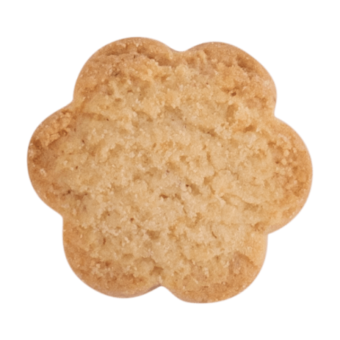 Biscutin - Briccodolce